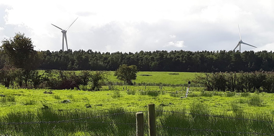 Windmills on a farm